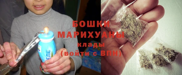 молекула духа Богородск