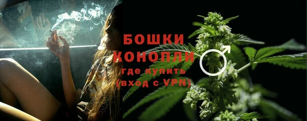 амф Богданович