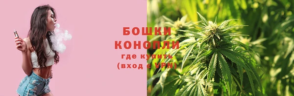 амф Богданович