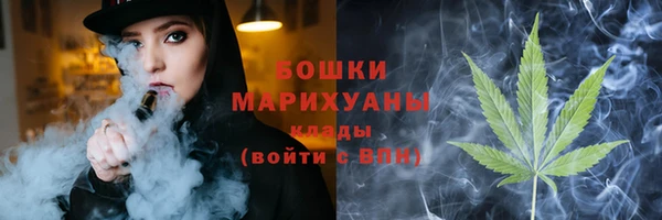 молекула духа Богородск