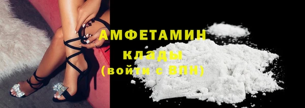 молекула духа Богородск