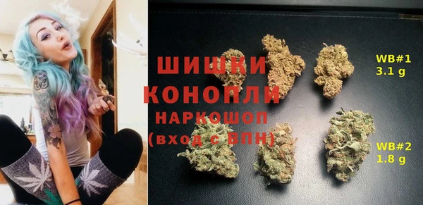молекула духа Богородск