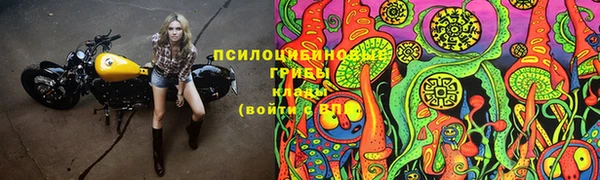 молекула духа Богородск