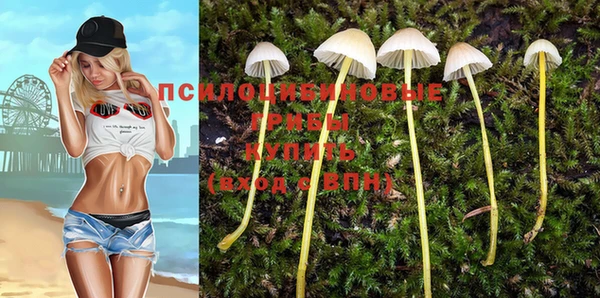 амф Богданович