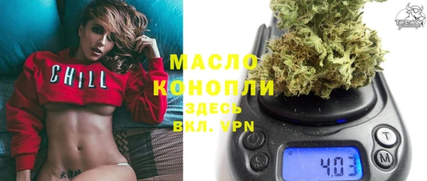 молекула духа Богородск