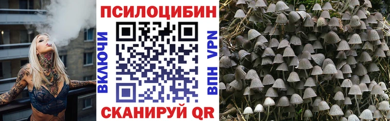 сколько стоит  Навашино  omg ссылка  Псилоцибиновые грибы GOLDEN TEACHER 
